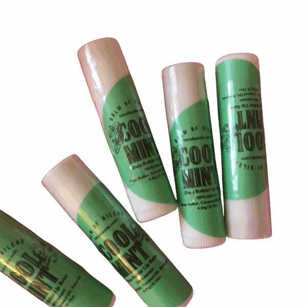 Moisturizing Shea Butter Lip Balms - Natural Lip Therapy - Image 3